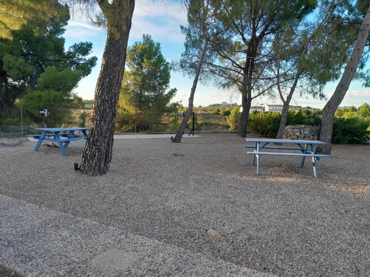 Djm Palms - Shared Casa Rural - Casa Rural Compartida - No Es Una Casa Privada Ayora Zewnętrze zdjęcie