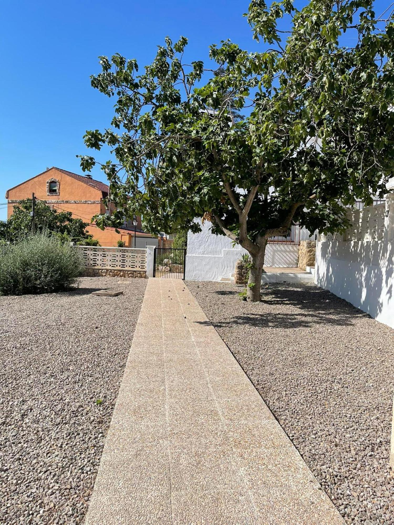 Djm Palms - Shared Casa Rural - Casa Rural Compartida - No Es Una Casa Privada Ayora Zewnętrze zdjęcie